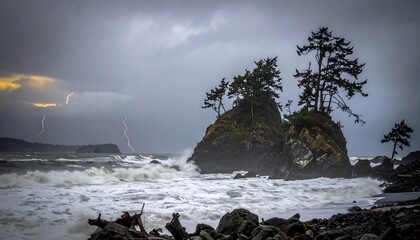 Stormy coast with island and trees