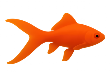 Graceful vibrant orange goldfish illustration isolated on transparent background