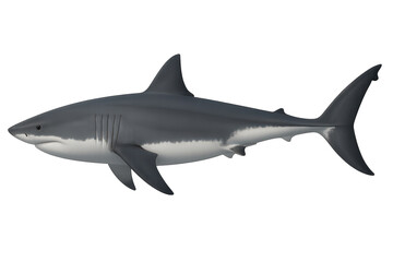 Naklejka premium Powerful Great White Shark isolated on transparent background, realistic ocean predator.