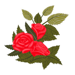 Elegant composition of three red roses and leaves. Vector illustration isolated on white background.
