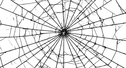 An intricate and delicate spider web structure against a simple background, showcasing a complex, geometric pattern. The radial design is a testament to natural craftsmanship