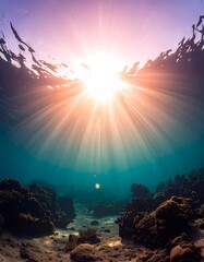 Underwater sunbeams on coral reef