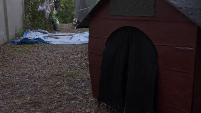 Wooden doghouse prop labeled Bubba sits in a suburban yard for Halloween. A black curtain door and fallen leaves create a spooky, haunted scene.