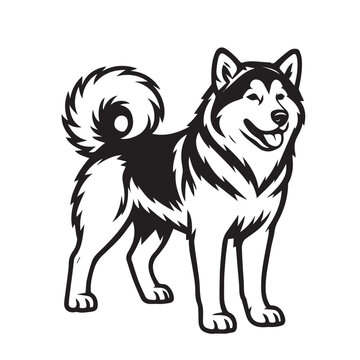 Black and white vector drawing of Alaskan Malamute breed, outlined in black, ideal for creative artworks, posters, signage, or modern decorative graphic purposes.