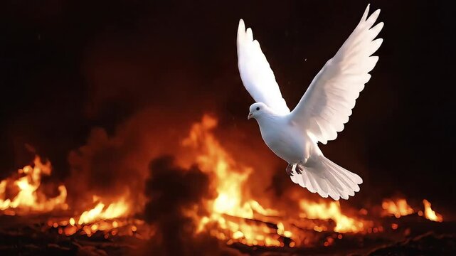 A white dove soars majestically above raging flames, a symbol of hope amidst destruction.