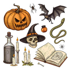 Halloween Clipart: Jack-o'-lantern, Bats, Witch, Snake, Potions, and More on transparent background