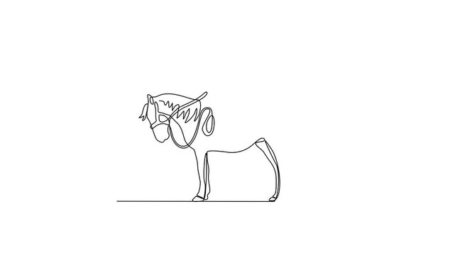 Animated self drawing of Equestrian activity video design illustration. Equestrian themes illustration in linear style video concept. Great design for social campaign and animal business purpose.