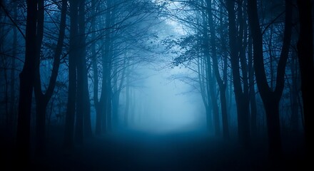 Obraz premium Mysterious Forest Path at Dusk.