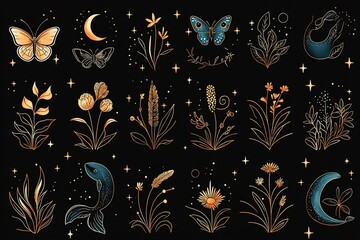 Botanical celestial illustrations