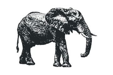 Obraz premium Textured elephant isolated on white transparent. Vector hand drawn illustration