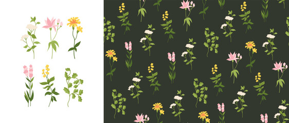 Medicinal herbs seamless pattern. Herbal trendy boundless ayurveda background. Herbs and flowers endless design for paper print, fabric textile, wrapper backdrop template vector illustration