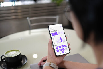 A person reviewing their financial balance and statistics on a mobile banking or investment app dashboard, showcasing personal finance management.