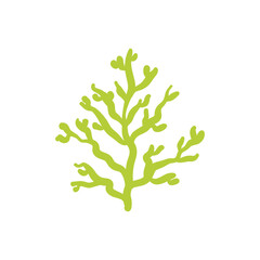 Seaweed logo EPS template icons vector illustration transparent background
