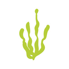 Seaweed logo EPS template icons vector illustration transparent background