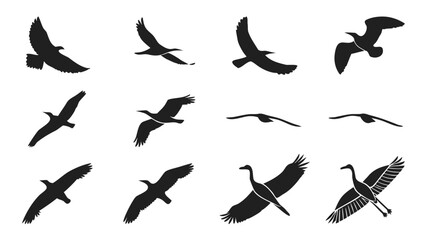 Twelve bird silhouettes in flight against black flying