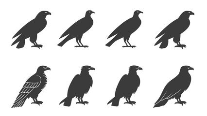 Obraz premium Eagle and Hawk Silhouettes in Various Poses bird of prey