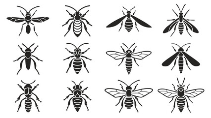 Silhouette Collection of Insects and Flying Creatures