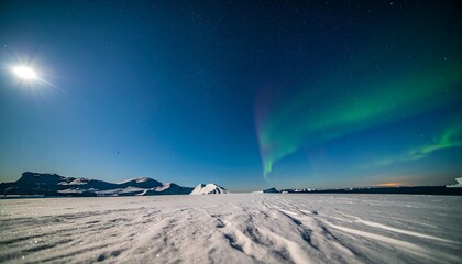 Aurora Borealis Illuminating Snowy Landscape at Night