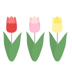 三色のかわいいチューリップ