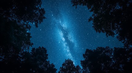 Vast milky way galaxy stretching across a clear night sky framed by dark silhouetted trees creating a magical celestial spectacle