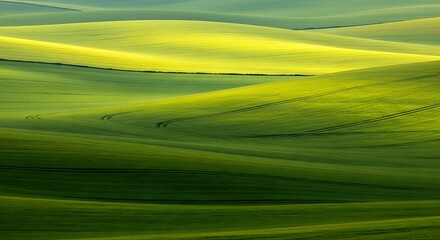 Rolling Green Hills Under Soft Light.