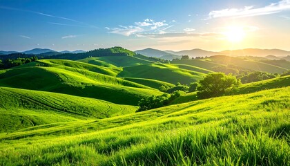 Obraz premium Vibrant green rolling hills of Tuscany bathed in warm morning sunlight.