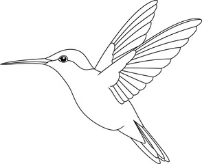 Obraz premium Elegant hummingbird in flight, a delicate creature captured mid-air with wings outstretched.