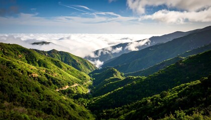 Fototapeta premium Mountain valley shrouded in clouds