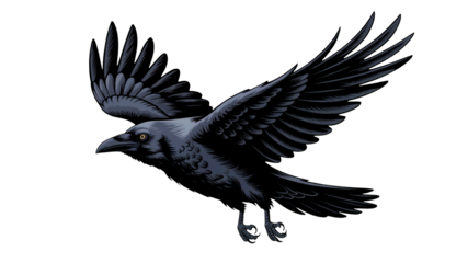 Majestic raven in mid-flight, powerful wings spread wide, conveying a sense of freedom, mystery, and wild nature's untamed spirit.