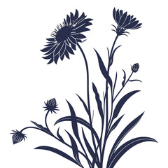 black and white blanket gaillardia dakota reveille
