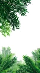 Tropical palm leaves frame, vibrant green