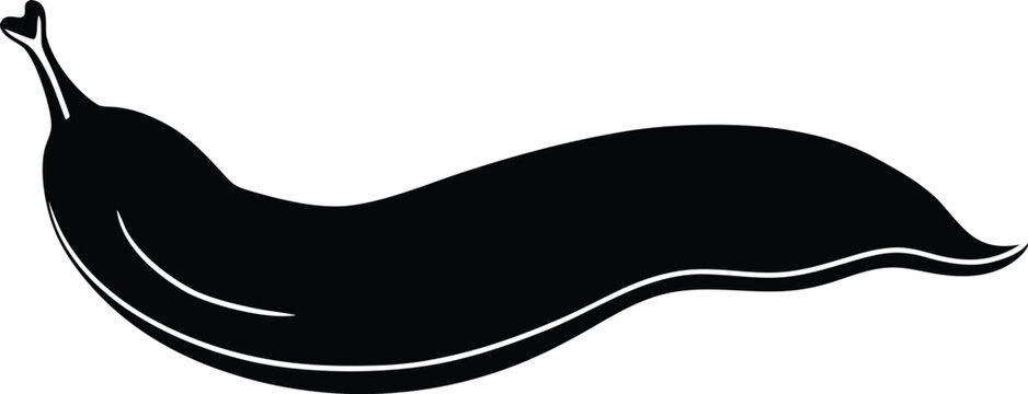 vector illustration of a silhouette of an eagle