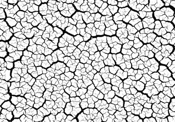 Abstract close up of cracked dry earth surface texture with intricate geometric patterns and dark fissures