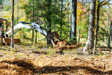 Excavator works to clear tree roots from ground in dense forest in fall.