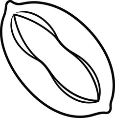 coffee beans vector illustration