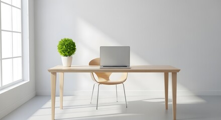 Minimalist desk with laptop and potted plant near a window bathed in natural light