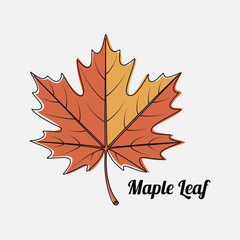 Autumn Maple Leaf Illustration with Warm Colors for Seasonal Designs and Creative Projects with Vector Style Isolated on White