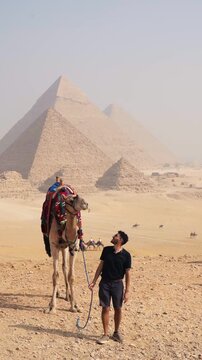 Cultural tourism in Egypt with camel at the Pyramids of Giza