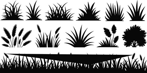 Grass silhouette vector, black foliage illustration, wild plant shapes, nature elements for design, decorative grass clumps, botanical shadow art, editable graphic set