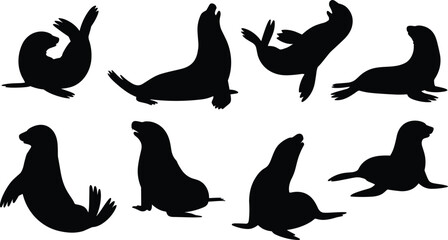 Seal silhouette vector, black marine animal illustration, sea mammal poses, wildlife shadow art, aquatic creature design, editable seal shapes for content
