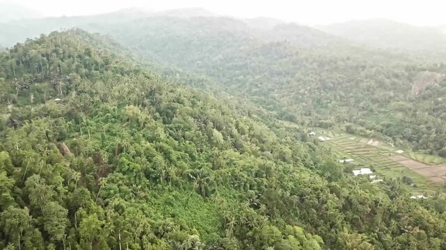 Aerial 4K view of lush tropical hills covered with dense green forest and terraced rice fields, showcasing natural beauty and rural landscape.
