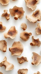 Scattered Brown Mushrooms on White Background