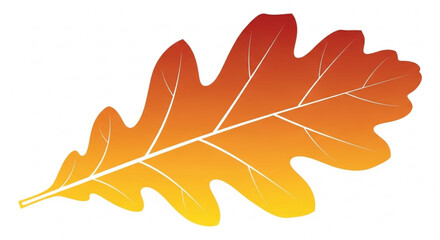 Obraz premium maple leaf isolated on white