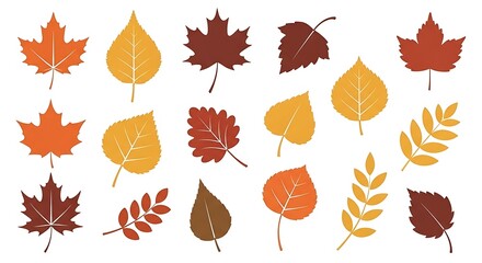 Fototapeta premium Autumn Leaves Collection - Various Shapes and Colors.