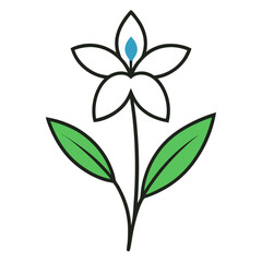 scilla bifolia line art vector on white