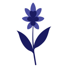 scilla bifolia silhouette vector on white background