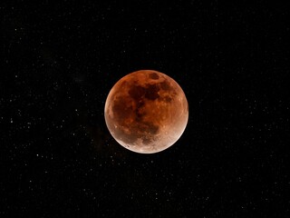 Fototapeta premium Total lunar eclipse
