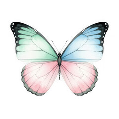 Beautiful butterfly with translucent wings displaying pastel pink and blue hues isolated on transparent background