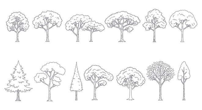 tree silhouettes vector drawing diverse tree outlines for architectural visualization landscaping and botanical illustration design elements.