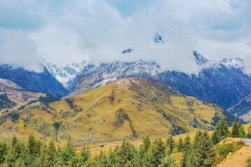 Natural beauty of grasslands, pastures, snow mountains in Xizang, China	